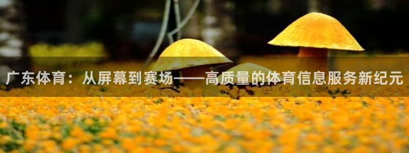 球友直播在线：广东体育：从屏幕到赛场——高质量的体育信息服务新纪元