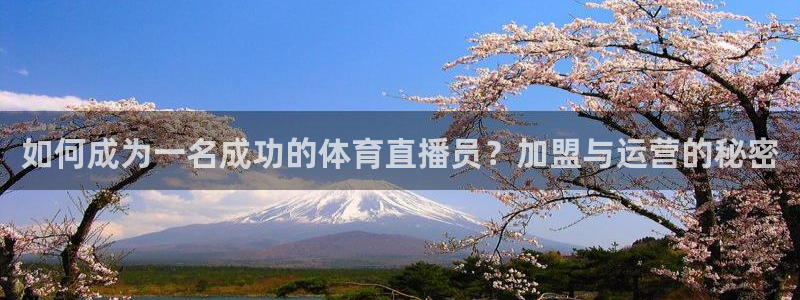 球友直播-足球篮球体育直播平台：如何成为一名成功的体育直播员？加盟与运营的秘密