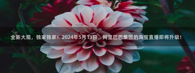 球友体育下载