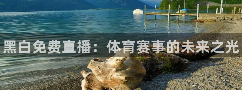 nba直播球友：黑白免费直播：体育赛事的未来之光