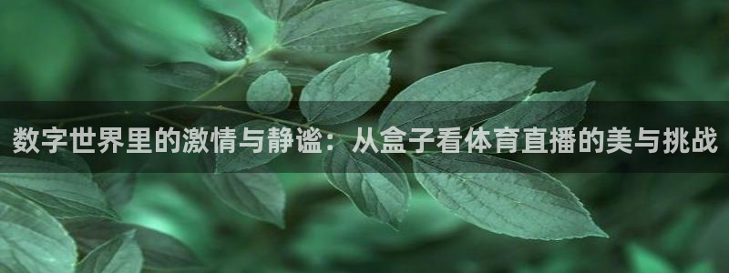 nba球友直播：数字世界里的激情与静谧：从盒子看体育直播的美与挑战