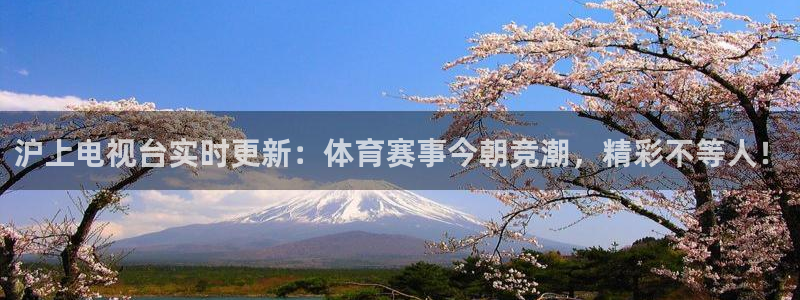 nba直播球友直播：沪上电视台实时更新：体育赛事今朝竞潮，精彩不等人！
