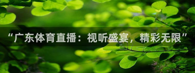 球友直播平台