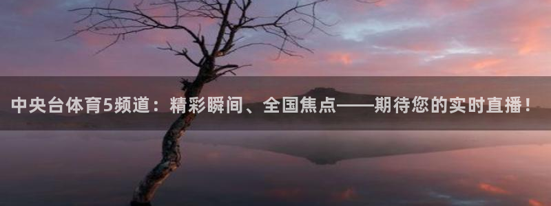 球友体育app免费看球：中央台体育5频道：精彩瞬间、全国焦点——期待您的实时直播！